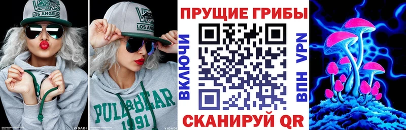 Купить где  Новоалександровск  Псилоцибиновые грибы Cubensis 